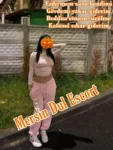 Mersin Escort Olgun