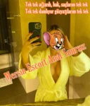 Mersin Escort Seksi