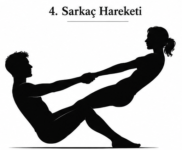 Sarkaç Hareketi